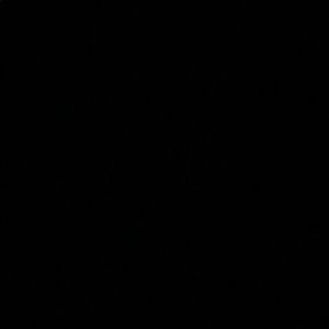 Meet your Posher, Lizzy